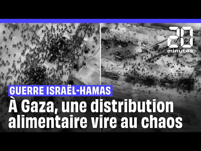 ⁣Guerre Israël-Hamas : À Gaza, une distribution d'aide alimentaire vire au chaos #shorts
