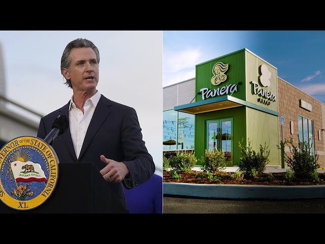 Newsom, Panera owner refute claims of special exemption to wage law