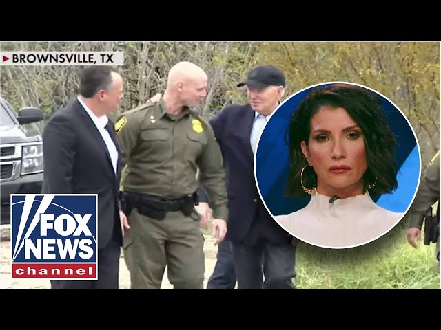 This was a ‘waste’ of taxpayer dollars: Dana Loesch