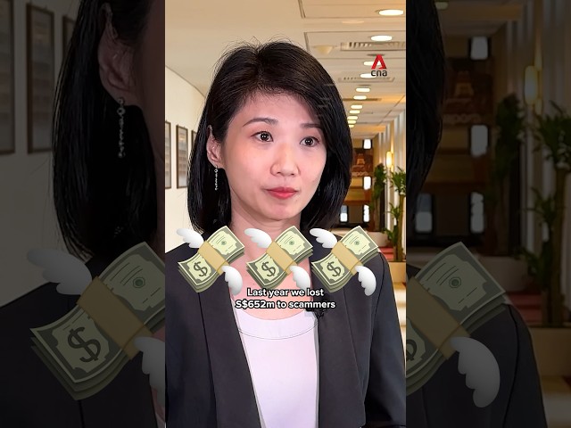 How will the Singapore government will protect Singaporeans against scams?