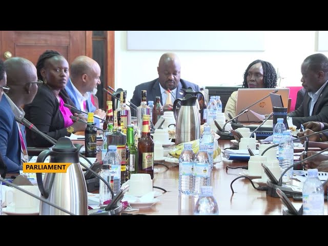 The alcoholic drinks control bill, 2023 - Formulate laws to govern illicit alcohol- stakeholders