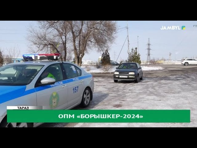 ОПМ «Борышкер-2024»