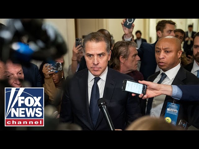 Hunter Biden had 'bizarre' defense at House hearing, says lawmaker