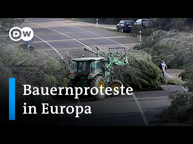 Warum protestieren zehntausende Bauern gegen die EU-Agrarpolitik? | DW Nachrichten