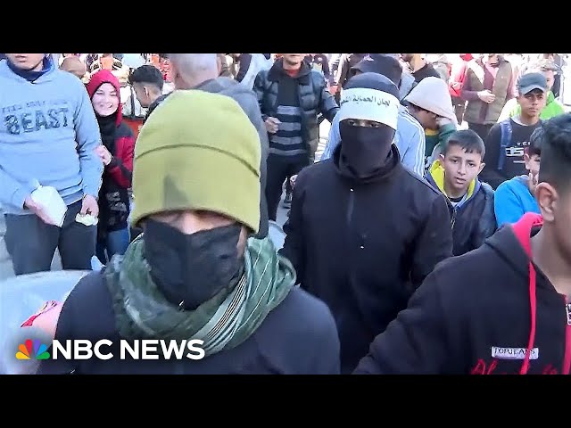 Video shows masked men patrolling Rafah market 'to keep down prices'