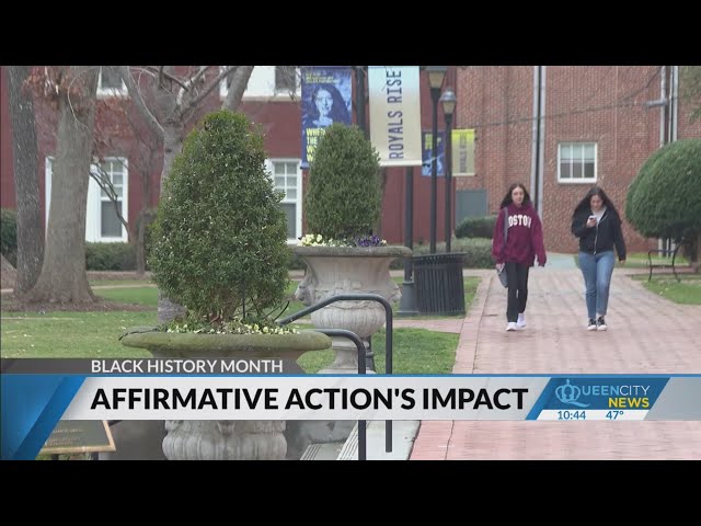 Affirmative action's impact on school admissions