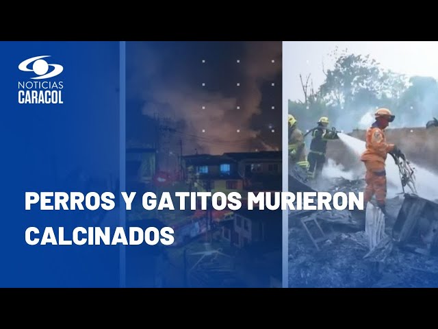 Grave incendio en Pereira consumió al menos 100 viviendas