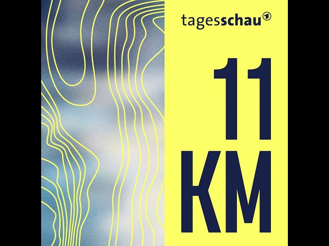 11KM Update: Illegaler Holzhandel | 11KM - der tagesschau-Podcast