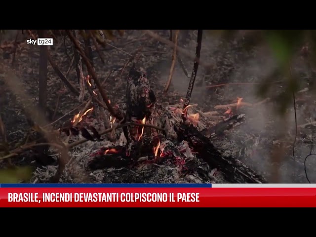 Brasile, incendi devastanti colpiscono il Paese