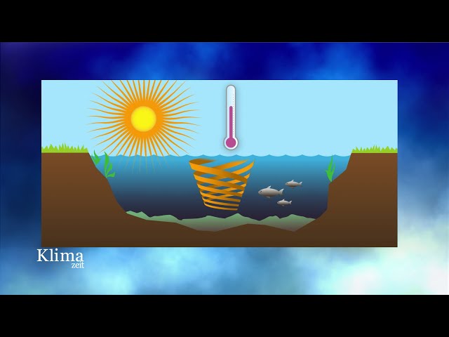 Klimawandel: Wo er im Bodensee sichtbar ist | KlimaZeit