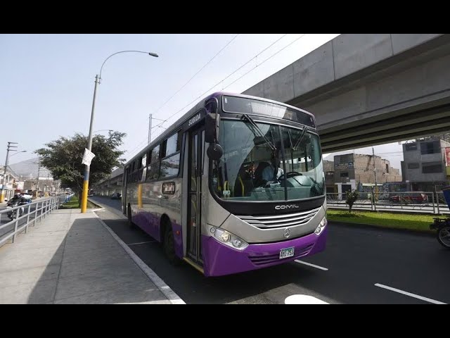 Corredor Morado dejaría de operar el próximo 4 de marzo