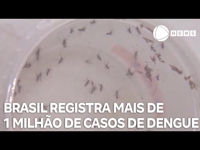 Brasil registra mais de 1 milhão de casos de dengue