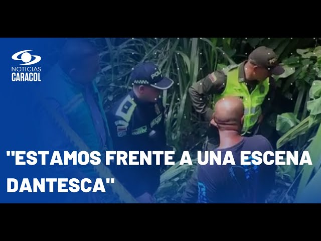 Investigan en Dosquebradas el hallazgo de al menos 15 perros muertos