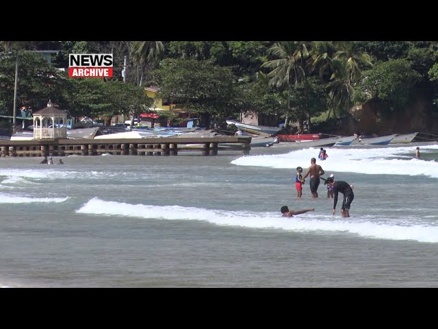 Turtle Nesting Season Begins