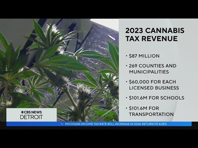 Detroit gets $2 million in marijuana tax revenue; $87 million going to 269 Michigan municipalities