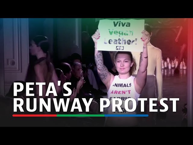 ⁣Animal rights activists disrupt Victoria Beckham fashion show in Paris | ABS-CBN News