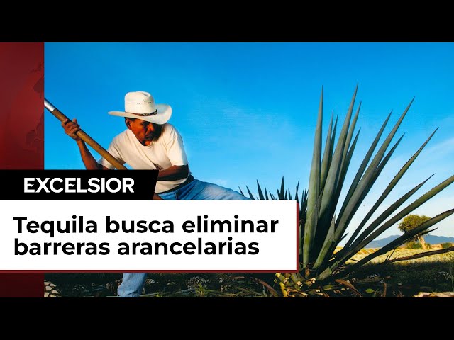 El CRT busca eliminar barreras arancelarias del tequila en China e India