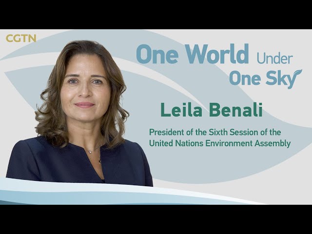 UNEA-6 president: We are rebuilding and reinventing multilateralism