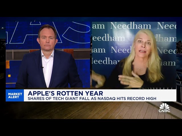 Needham's Laura Martin talks where Apple goes from here