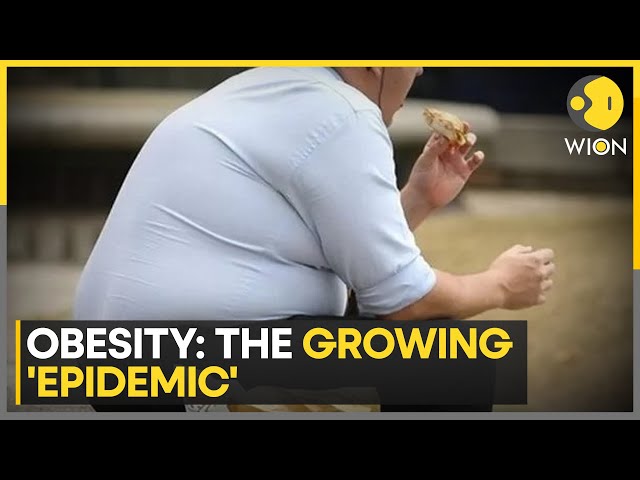 More than a billion people worldwide are obese: Study | Latest News | WION