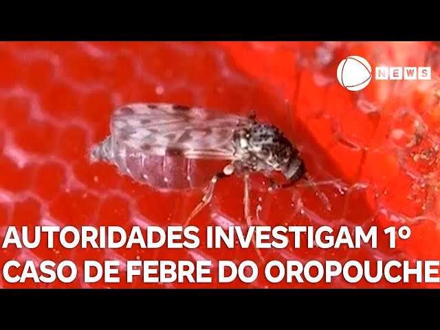 Autoridades investigam 1º caso de febre do Oropouche no Brasil