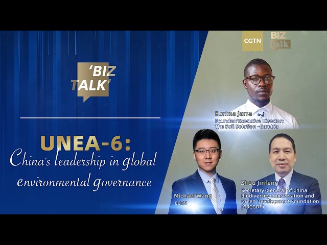 Watch: UNEA-6 - China's leadership in global environmental governance