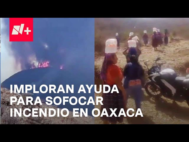 Incendios forestales continúan sin control en Oaxaca; Habitantes exigen apoyo - En Punto