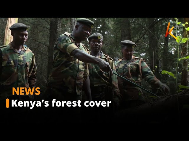 ⁣Kenya’s forest service efforts bears fruit after deployment of more rangers