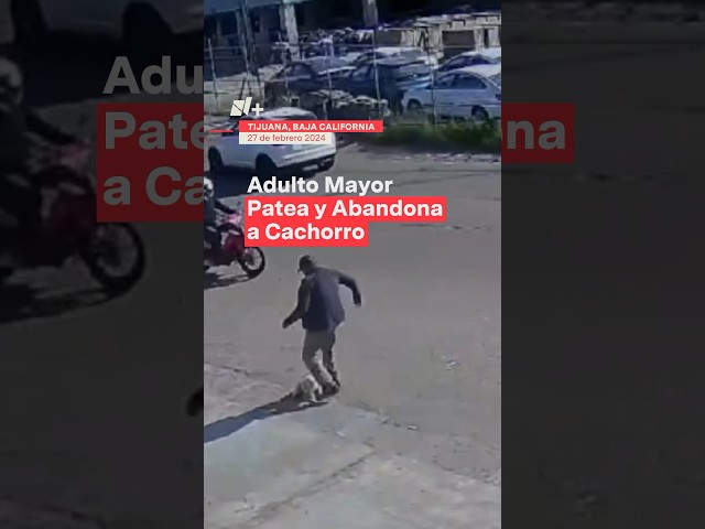 Adulto mayor patea y abandona a cachorro en Tijuana - N+ #perros #mexico