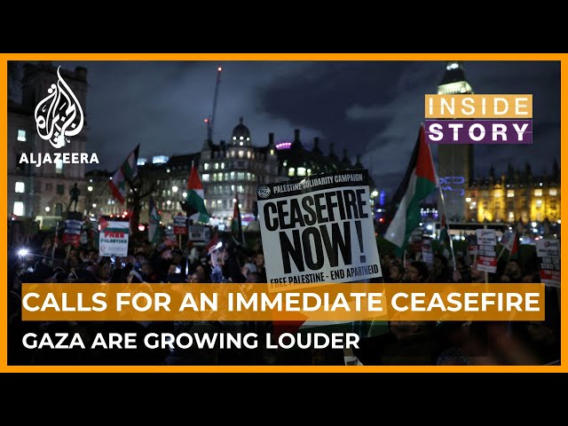 Calls for an immediate ceasefire in Gaza are growing louder