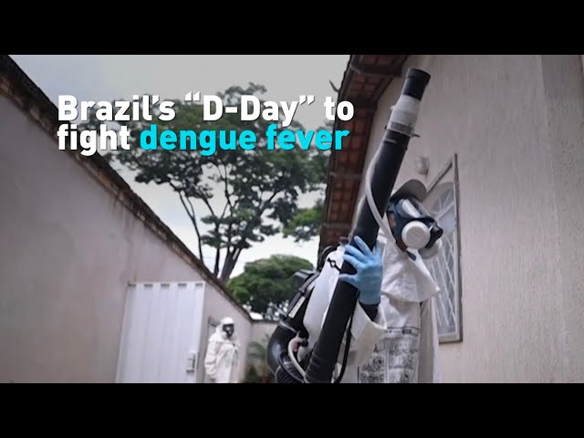 Brazil's "D-Day" to fight dengue fever