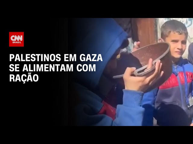 Palestinos em Gaza se alimentam com ração | AGORA CNN