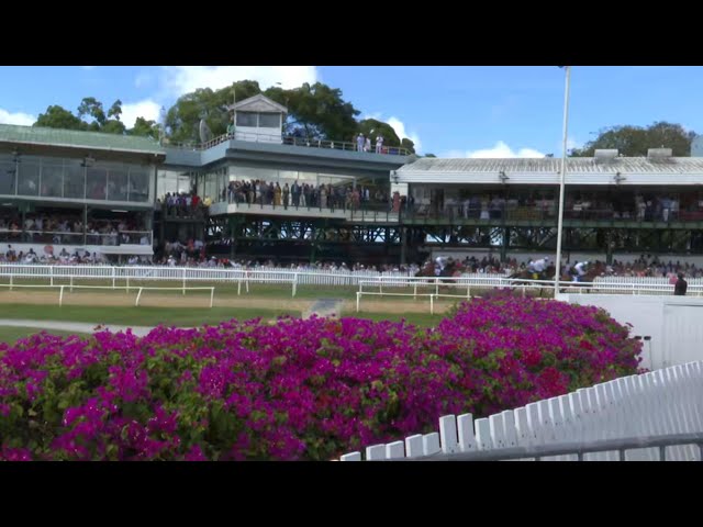 Sandy Lane Gold Cup 'more than just a race'