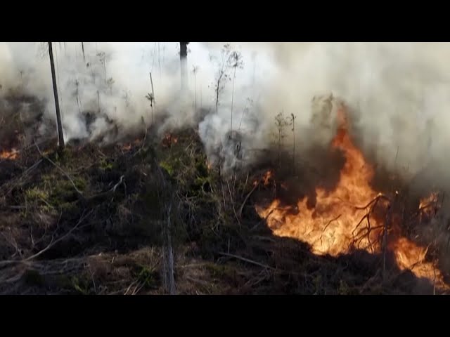 ⁣Agriculture Minister Urges Citizens To Refrain From Starting Bush Fires