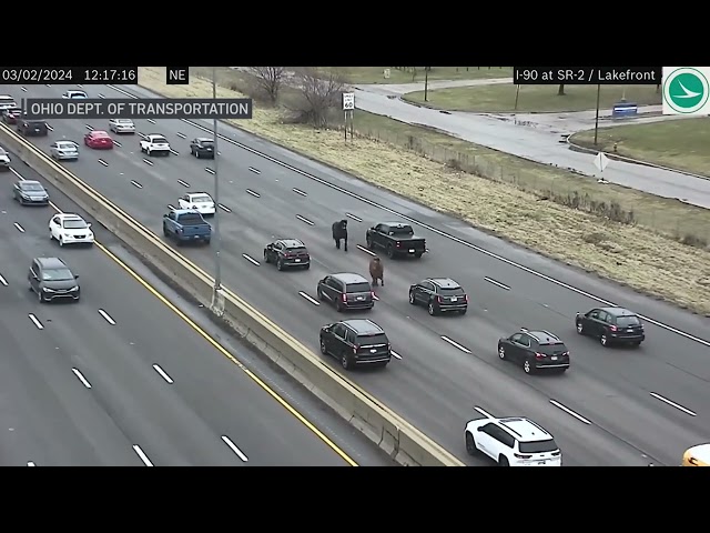⁣Watch: Video shows Cleveland police trying to wrangle escaped horses on Interstate 90