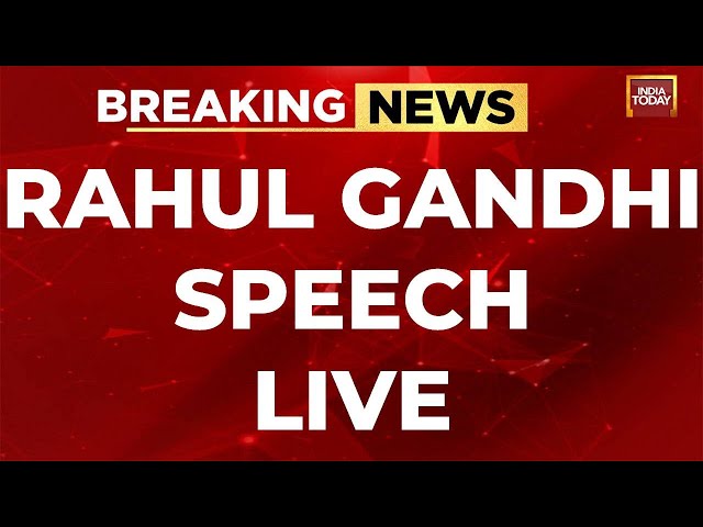 Rahul Gandhi LIVE: Rahul Gandhi's Bharat Jodo Nyay Yatra LIVE In Madhya Pradesh | Congress LIVE