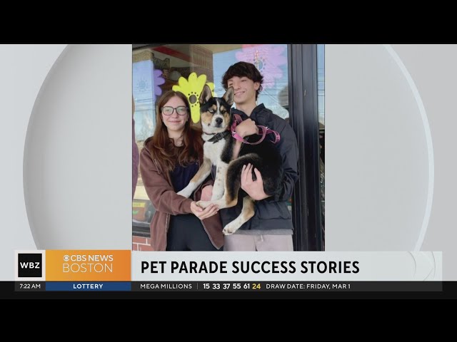 Two dogs find new homes after Pet Parade appearance