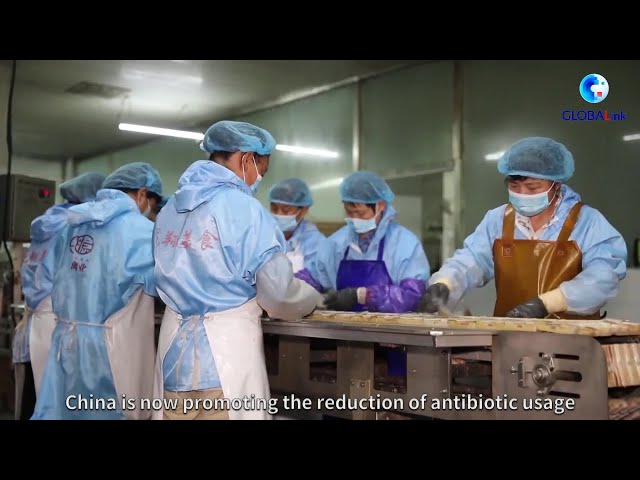 GLOBALink | Global tastes with a Chinese twist: Foie gras from China's small county