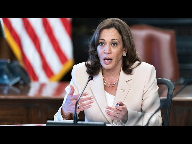 Kamala Harris looking ‘hopeless’ ahead of US election