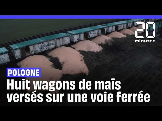 Colère des agriculteurs : Huit wagons de maïs versés sur une voie ferrée #shorts