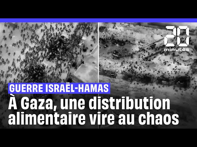 Guerre Israël-Hamas : À Gaza, une distribution d'aide alimentaire vire au chaos #shorts