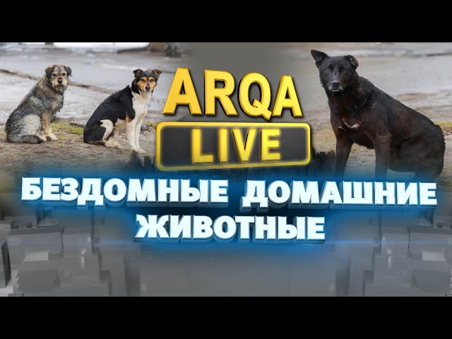 ARQA LIVE | Правила содержания и выгула домашних животных