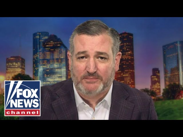 Ted Cruz: We shouldn't 'blow it' next time