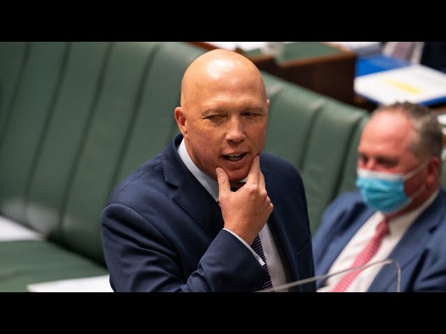 ‘Reasonable result’: Dutton can ‘take comfort’ in voter swing from Dunkley loss