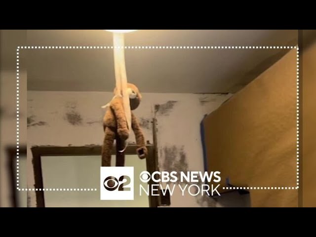 Exclusive: Stuffed monkey found hanging with noose around its neck inside NYCHA building