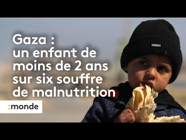 Guerre Israël - Hamas : la famine frappe sévèrement les enfants palestiniens