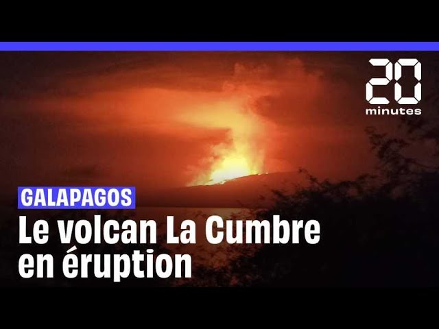 ⁣Un volcan entre en éruption sur une île inhabitée des Galapagos #shorts