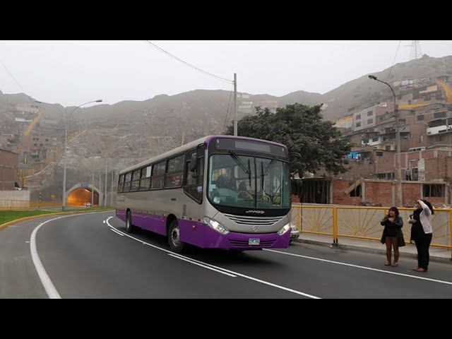 ¿Vuelven las combis piratas? Pasajeros desorientados al no ver operando el Corredor Morado