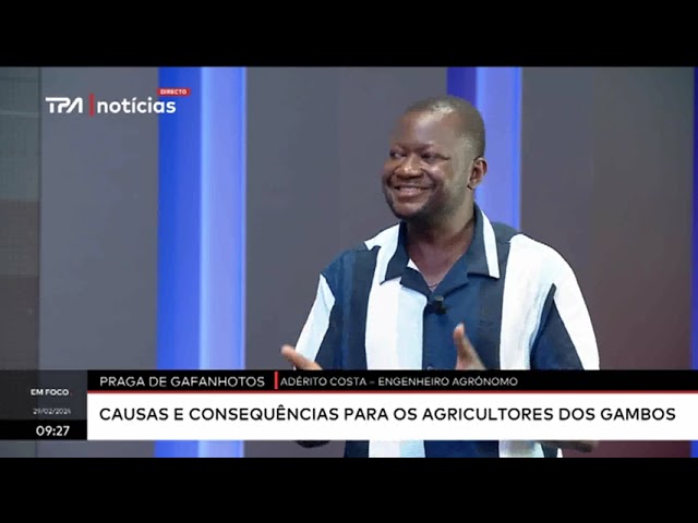 Em Foco -  Praga de gafanhotos afecta campos agrícolas nos Gambos, Huíla