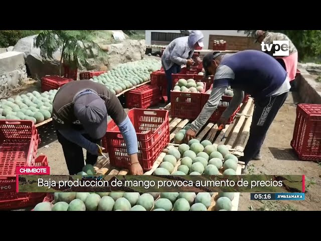 Jiwasanaka (04/03/2024) | TVPerú Noticias